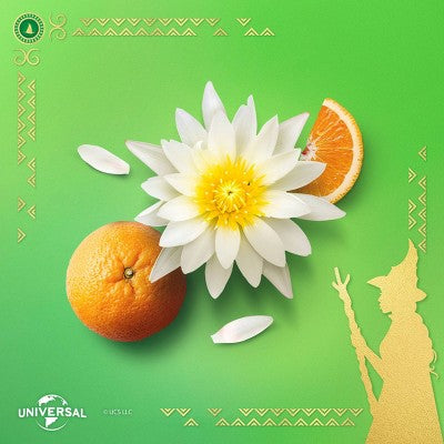 Beloved Wicked Defy Gravity Shower & Bath Gel 11.8 fl oz