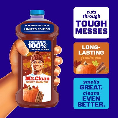 Mr. Clean Spiced Harvest Multi-Surface Cleaner Liquid - 41 fl oz
