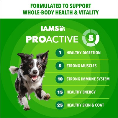 IAMS Proactive Health Minichunks Chicken and Whole Grains Recipe Adult Dry Dog Food - 5lbs