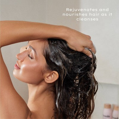 Being Frenshe Restore Shampoo - Lavender Cloud - 16 fl oz