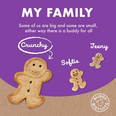 Buddy Biscuits Crunchy Assorted Flavors with Beef, Chicken and Cheese Biscuit Dog Treats - 16oz