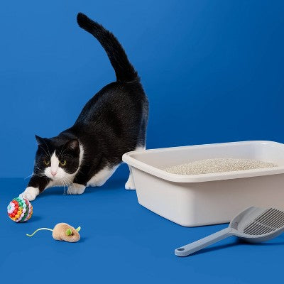 Lightweight Fragrance Free with Baking Soda Clumping Cat Litter - 13.5lbs - up&up (LOCAL PICKUP ONLY)