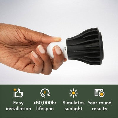 WE THE WILD Instant Sun Full Spectrum LED Grow Light Bulb for Houseplants 10W E26