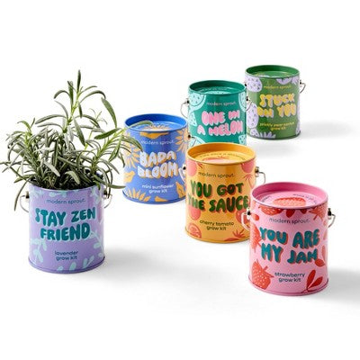 Modern Sprout Watermelon Complimentary Color Grow One in a Melon Seed Starter Kit