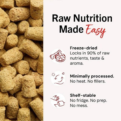 Stella & Chewy's Stella's Super Beef Flavor Patties Dry Dog Food - 5.5oz