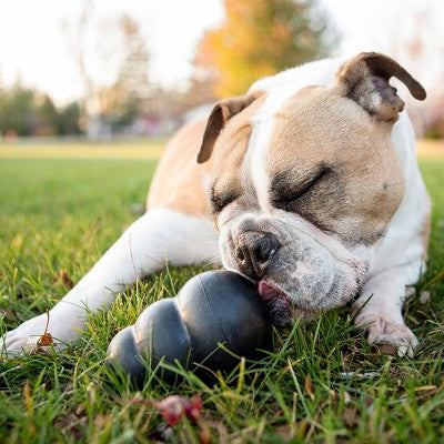 KONG Extreme Classic Dog Treat Dispenser Toy: Large Breed, Rubber, 0.769 lbs, Occupy Pet Activity
