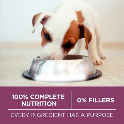 Purina ONE SmartBlend Healthy Puppy Natural Chicken Flavor Dry Dog Food - 16.5lbs (LOCAL PICKUP ONLY)