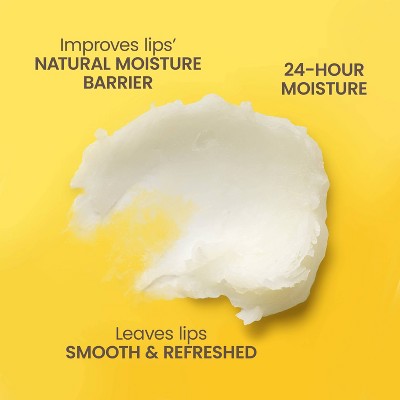 Burt's Bees Holiday Limited Edition Stocking Stuffer Moisturizing Lip Balm - Cranberry Spritz - 0.15oz