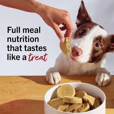 Stella & Chewy's Stella's Super Beef Flavor Mixers Dry Dog Food - 3.5oz