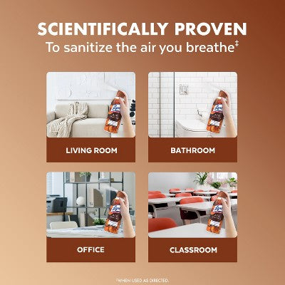 Lysol Aerosol Air Sanitizer - Woodland Escape - 10oz