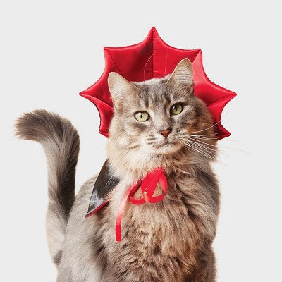 Vampire Cape Cat Headpiece Costume - Boots & Barkley Black One Size Fits Most