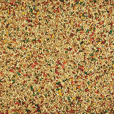 Kaytee Forti Diet Parakeet Bird and Wildlife Food - 2lbs