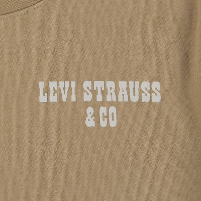 Levi's Boys' Short Sleeve Western Style Graphic T-Shirt XL