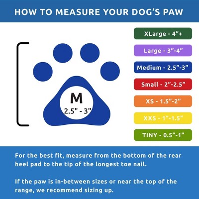 Pawz 12pc Rubber Dog Boots - Blue M