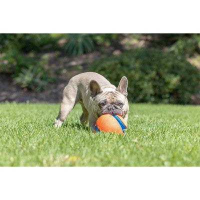 Chuckit! Kick Fetch Dog Ball Toy