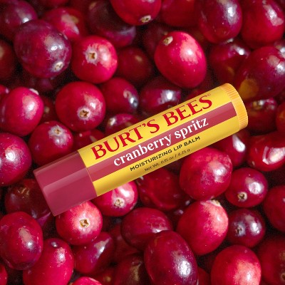 Burt's Bees Holiday Limited Edition Stocking Stuffer Moisturizing Lip Balm - Cranberry Spritz - 0.15oz