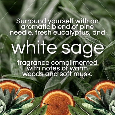 Air Wick Vibrant Plug-in Scented Oil Air Freshener Refills - White Sage & Mahogany - 4pk