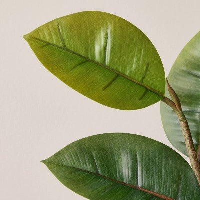 72" Faux Potted Rubber Tree - Hearth & Hand with Magnolia (LOCAL PICKUP ONLY)
