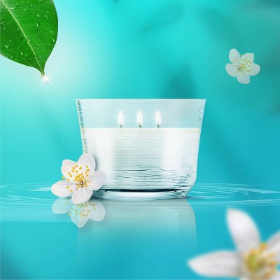 Glade 3 Wick Glass Dewdrop Petals Jar Candle - 6.8oz