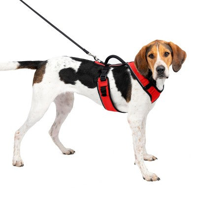PetSafe EasySport Adjustable Dog Harness - L - Red: Comfort-Grip, Reflective, Reinforced Stitching, Adjustable