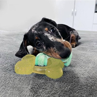 Nylabone Puppy Chew Freezer Bone Toy - Bacon: Rubber, Small, 0.2 Lbs, Chew & Occupy