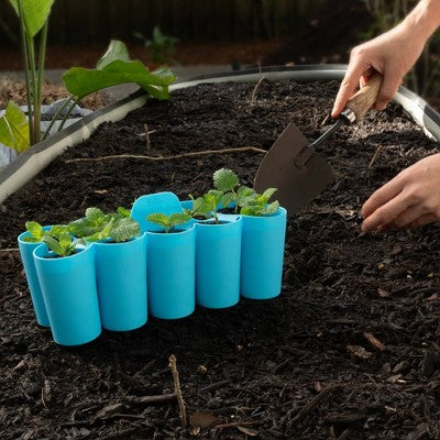 Sili-Seedlings 2pk 10 cell Seed Starter Silicone Outdoor Planter Opal Blue