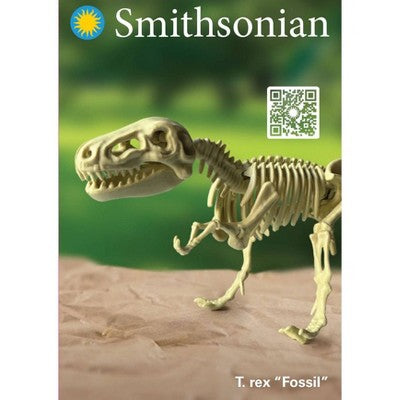 Smithsonian Dinosaur Fossils