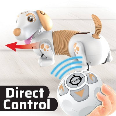ROBO DASH D Interactive Robotic Puppy with Gesture Control, Ball Remote, Barking and Walking Tricks