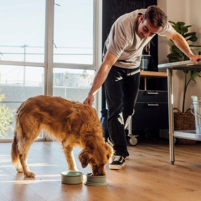 KindTail 40 fl oz Portable 2pc Dog Bowl Set - L - Spruce