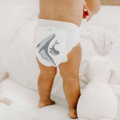 Parasol Clear+Dry Natural Disposable Diaper Pants - 4T-5T - 36ct