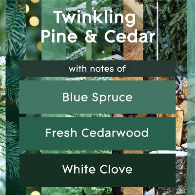 3-Wick Glade Large Candle - Twinkling Pine & Cedar - 6.8oz
