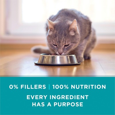 Purina ONE Turkey Wet Cat Food - case of 24