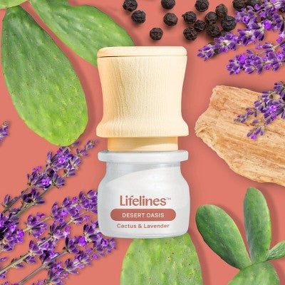 Lifelines Be Transported Discovery Set