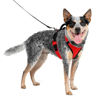 PetSafe EasySport Adjustable Dog Harness - M - Red