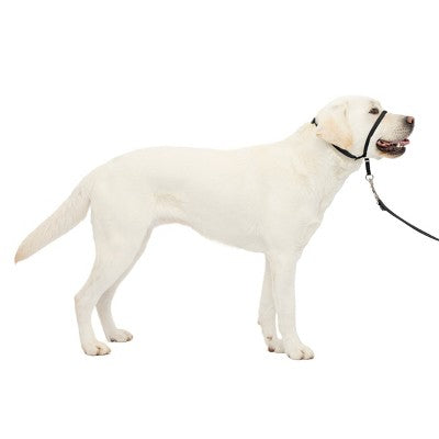 PetSafe Gentle Leader Headcollar Adjustable Dog Harness - L - Black