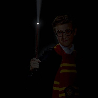 Warner Bros. Harry Potter Kids' Light Up Deluxe Wand Halloween Accessory