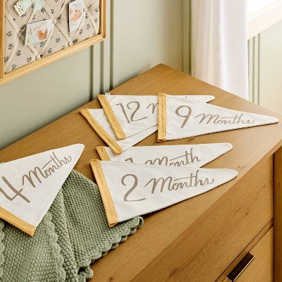 Newborn Milestone Pennants 6pc - Hearth & Hand with Magnolia