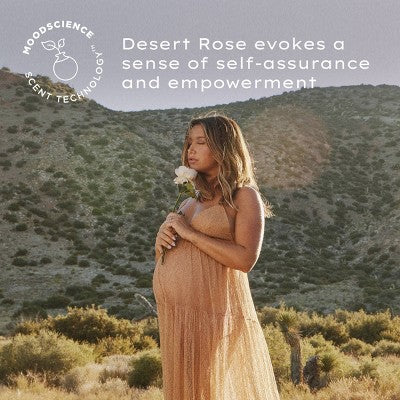 Being Frenshe Women's Glow On Perfume Oil - Desert Rose - 0.84 fl oz