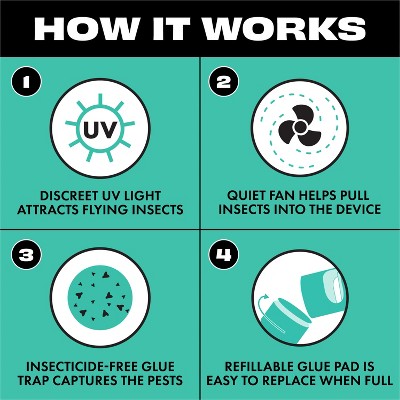 STEM Electric Fan Fruit Fly, Gnat & Fly Trap Starter Kit - 1 Unit + 5 Glue Traps: Non-Toxic, Safe for Kids & Pets, Electric Powered