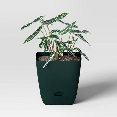 Square Self-Watering Plastic Indoor Outdoor Planter Pot Green 6"x6" - Room Essentials