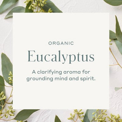 Organic Essential Oil Euclyptus -Casaluna