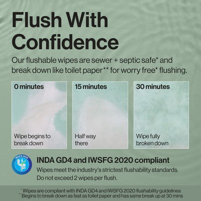 The Honest Company Flushable Wipes - Gilded Wings - 126ct: Unscented