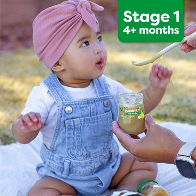 Beech-Nut Non-GMO Organics Pears Baby Food Jar - 4oz