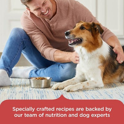 Rachael Ray Nutrish Real Salmon, Vegetable and Brown Rice Recipe Dry Dog Food - 12lbs