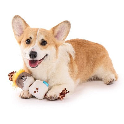 BARK Summer Big Shake Lake 2.5" Tug of Smore Dog Rope Toy