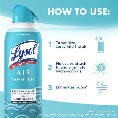 Lysol Aerosol Air Sanitizer - Beachside Waves - 10oz