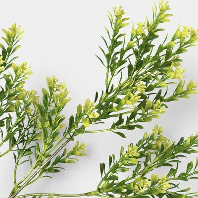 Mini Boxwood Stem - Room Essentials