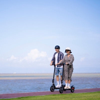 5TH WHEEL V30PRO Electric Scooter - 700W Peak, 18 mph, 20 Mile Range, 265 lbs Capacity, 10" Solid Tires, with Turn Signals (LOCAL PICKUP ONLY)