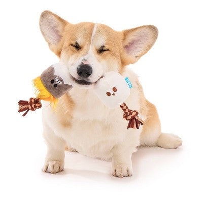 BARK Summer Big Shake Lake 2.5" Tug of Smore Dog Rope Toy