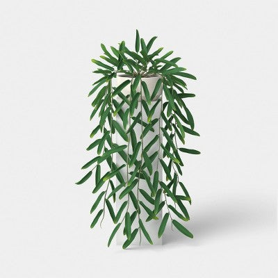 Trailing Leaf Plant - Threshold